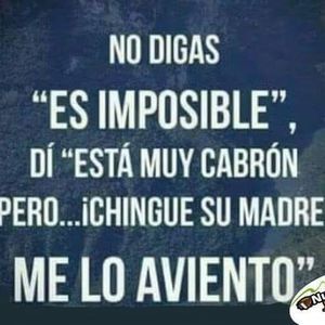 Meet your Posher, Imelda